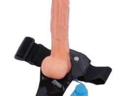6.-artificial-penis-belt